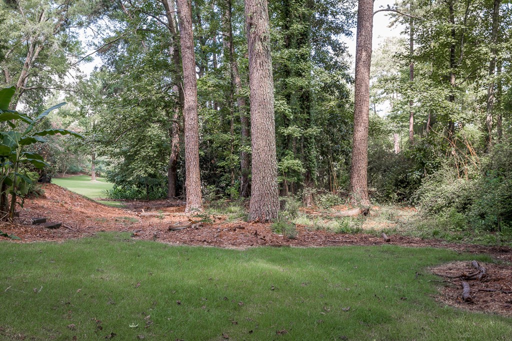 7050 Standing Boy Road Columbus, GA 31904 - Photo 45 of 53 Gallery Image 45
