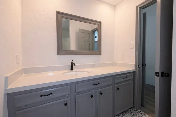 a bathroom with a sink and a mirror
