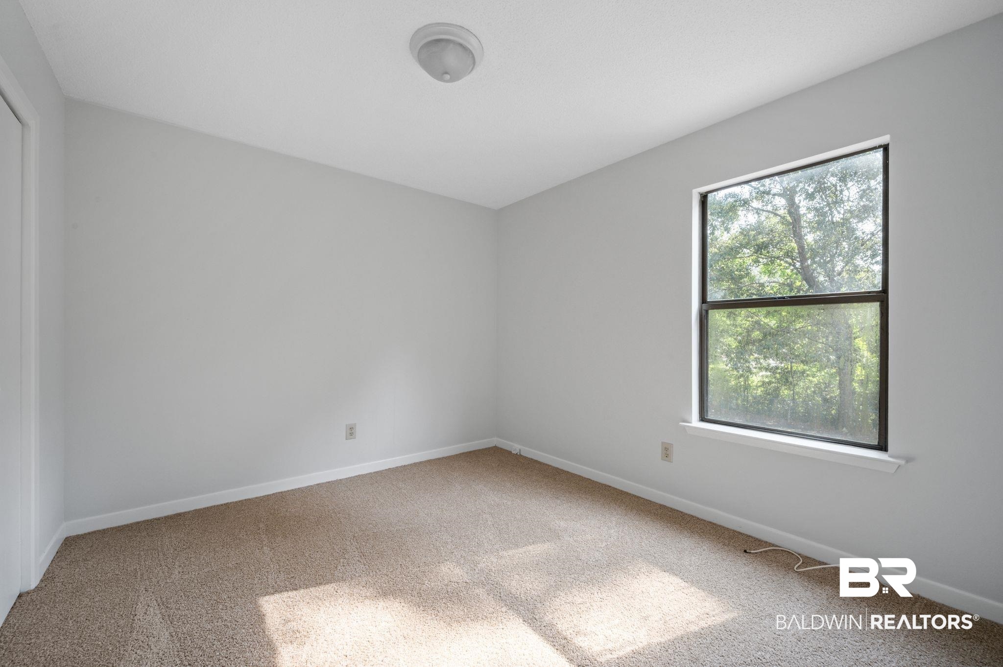 3701 Vista Ridge Drive Mobile, AL 36693 - Photo 27 of 33 Carpeted empty room featuring a healthy amount of sunlight