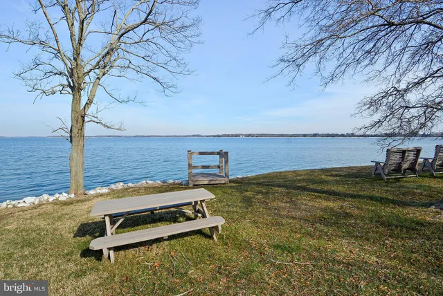 a view of a backyard with chairs