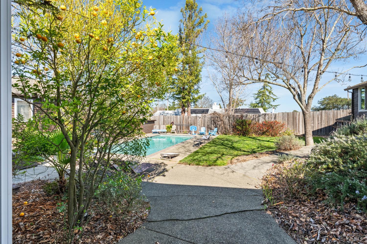 8 Circle Road San Rafael, CA 94903 - Photo 30 of 45 a view of a garden with plants and large trees