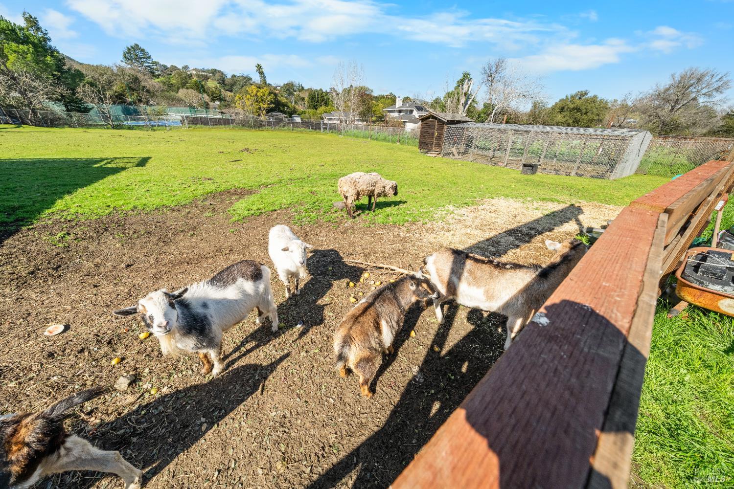 8 Circle Road San Rafael, CA 94903 - Photo 39 of 45 a view of a lake from a yard
