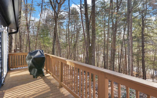131 Mystic Lane Blue Ridge, GA 30513 - Photo 23 of 30 Gallery Image 23