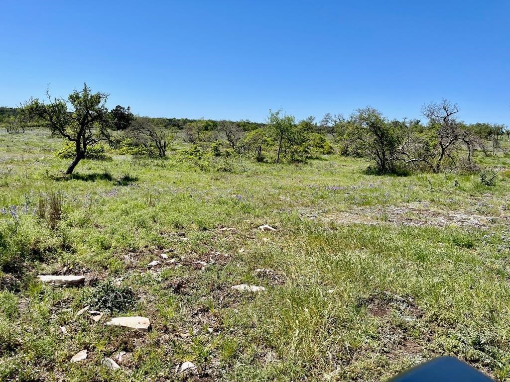 Lot 4 Jung Road, Unit 4 Harper, TX 78631 - Photo 4 of 8