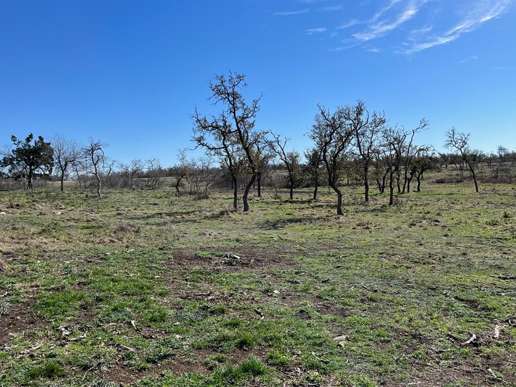 Lot 4 Jung Road, Unit 4 Harper, TX 78631 - Photo 6 of 8