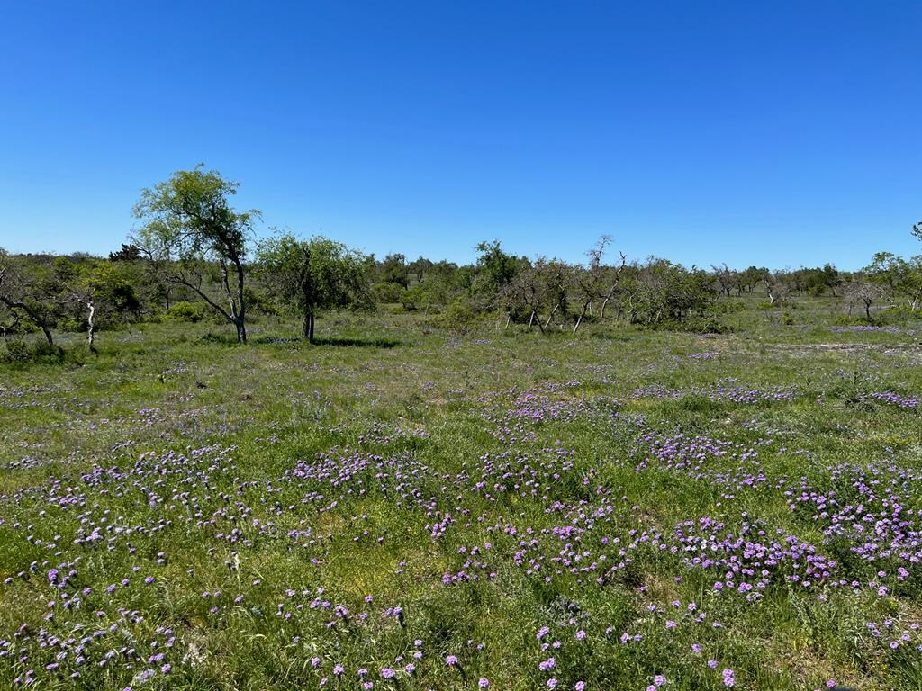 Lot 4 Jung Road, Unit 4 Harper, TX 78631 - Photo 7 of 8