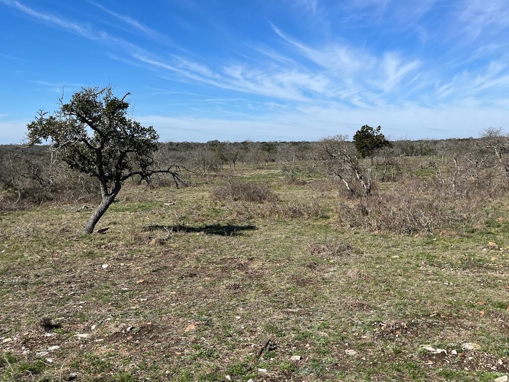 Lot 4 Jung Road, Unit 4 Harper, TX 78631 - Photo 8 of 8