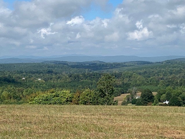 Gardner Farm Road, Unit 4 Appomattox, VA 24522 - Photo 2 of 8 Gallery Image 2