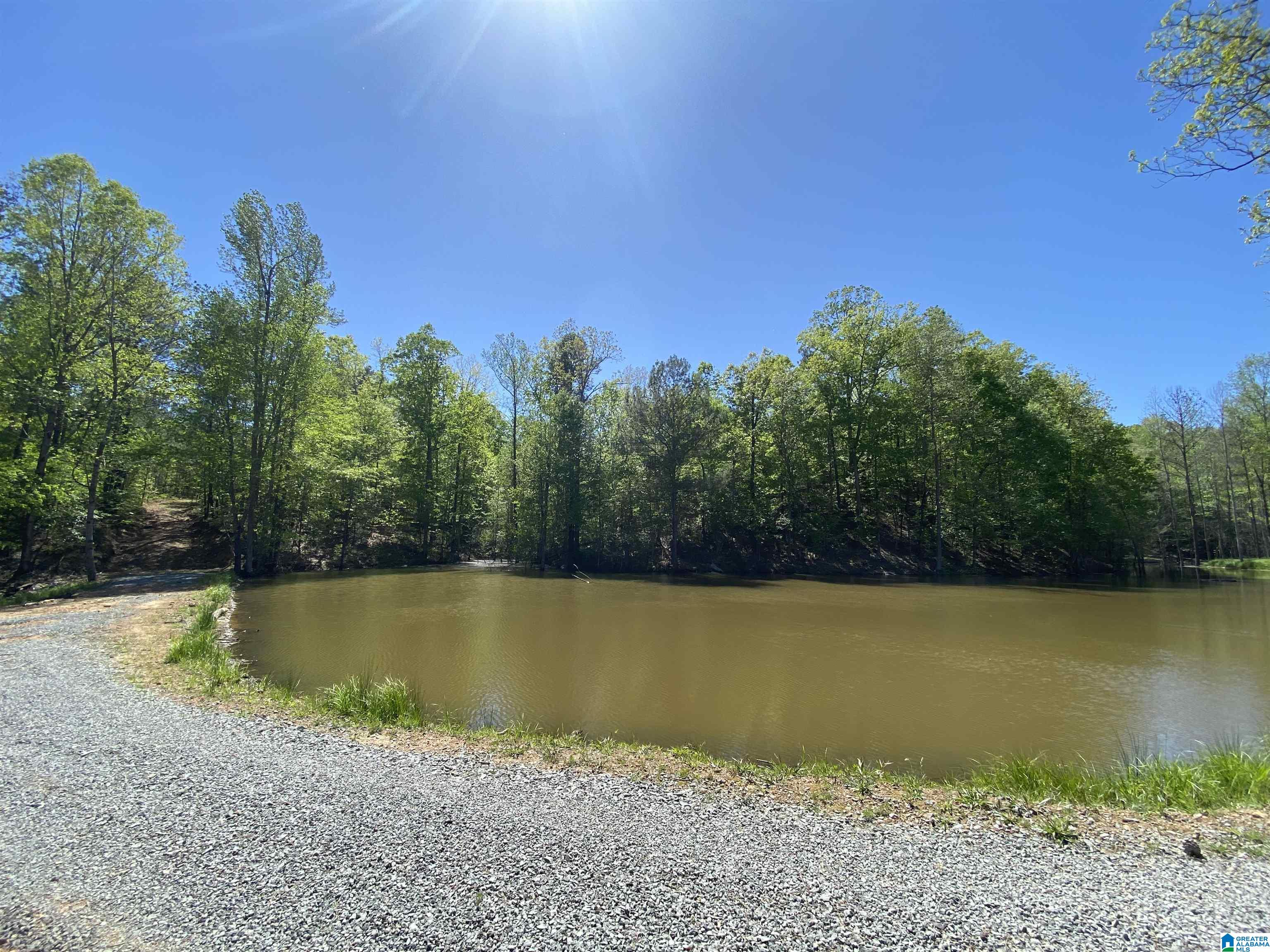 8346 Serene Lake Road McCalla, AL 35111 - Photo 14 of 24