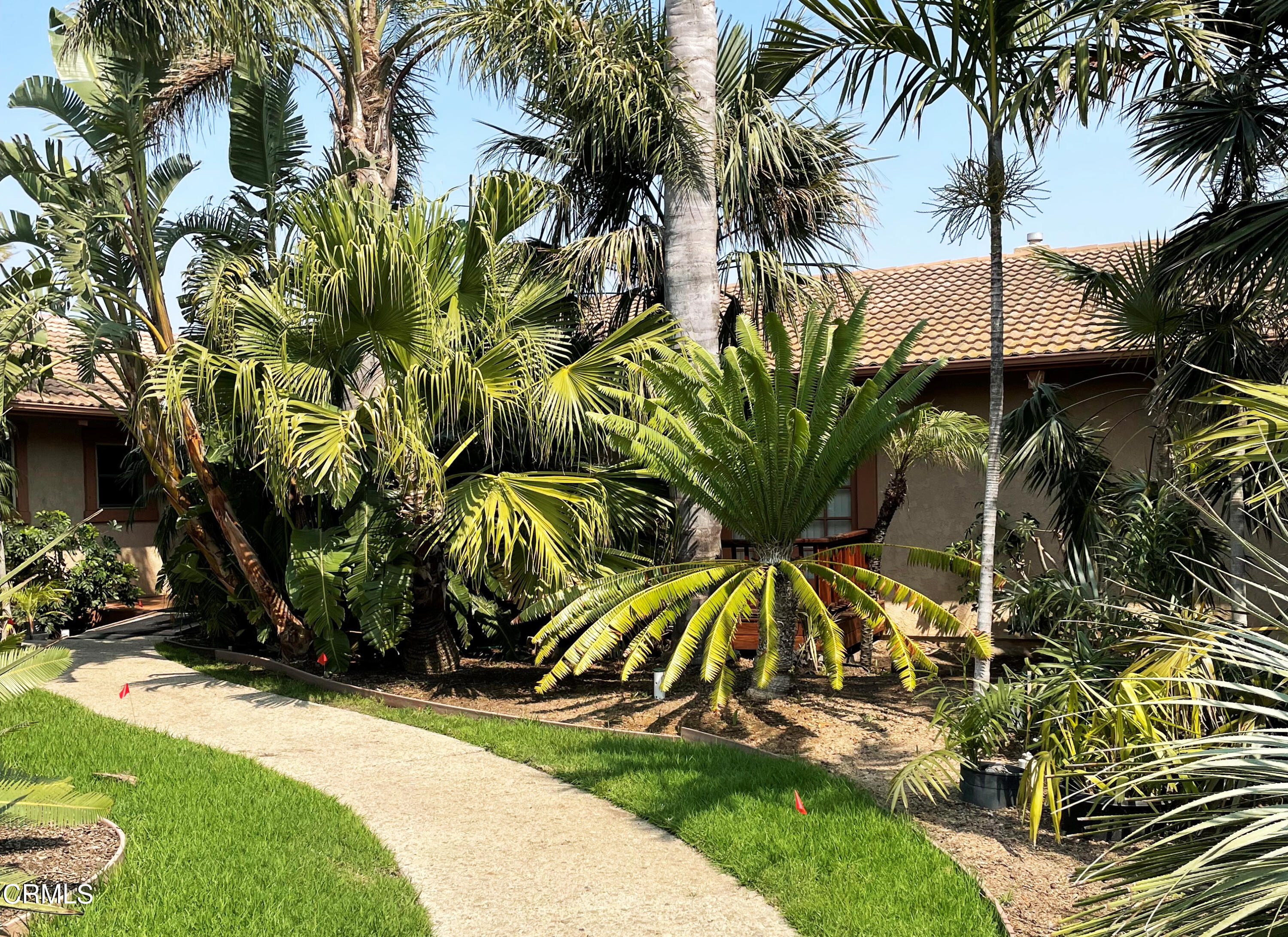 a view of a backyard with a patio