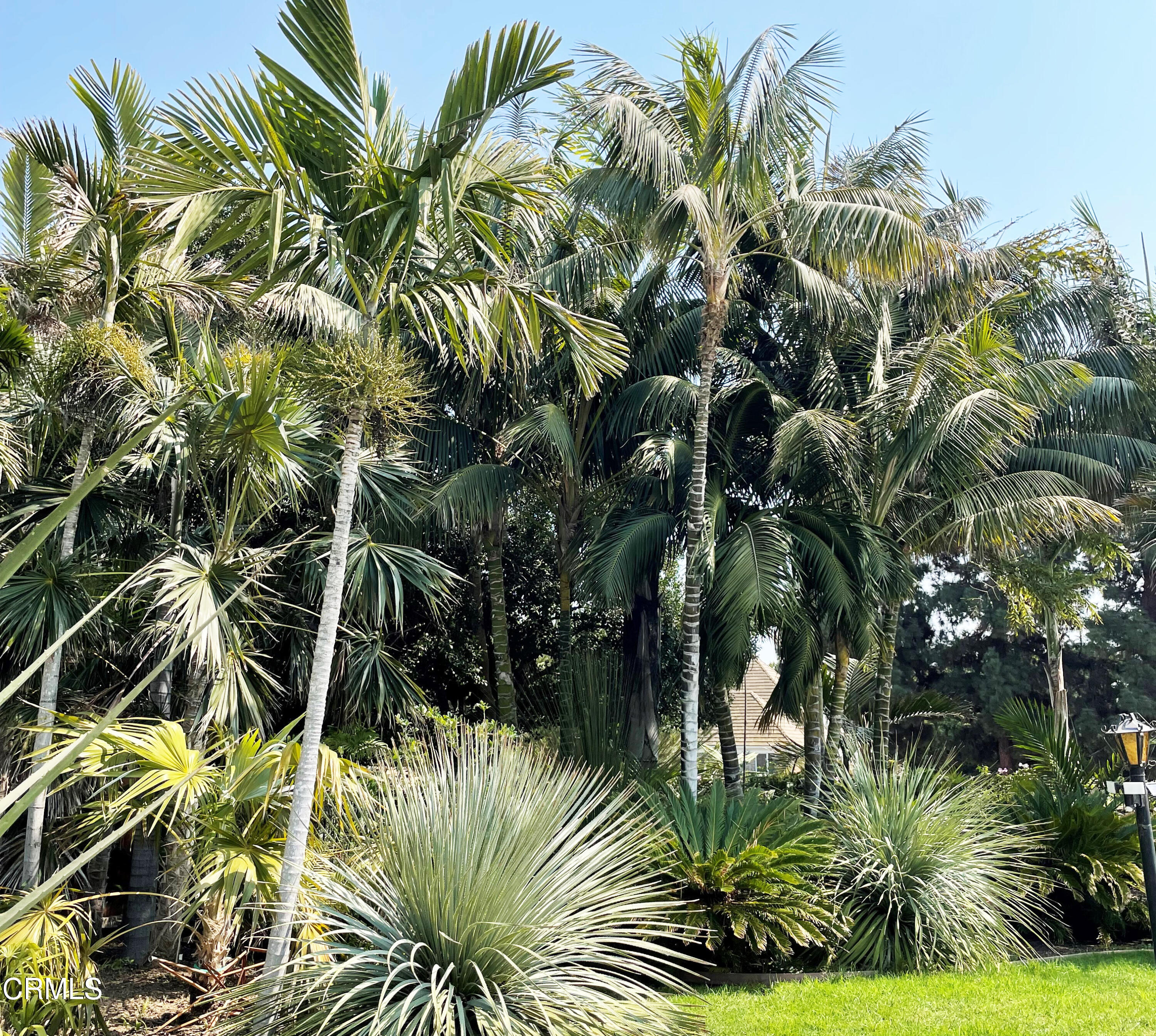 75 Marine View Drive Camarillo, CA 93010 - Photo 2 of 18 a view of a garden