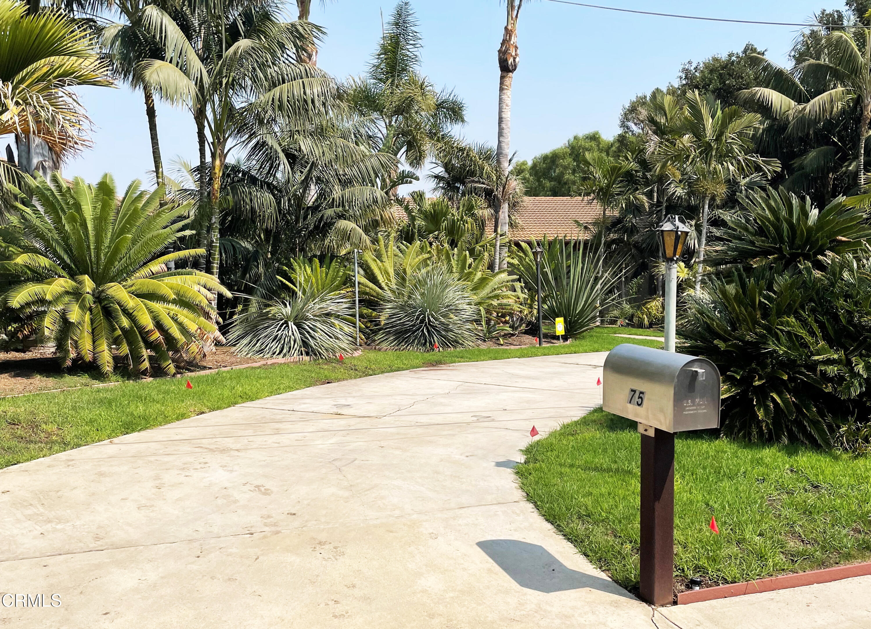75 Marine View Drive Camarillo, CA 93010 - Photo 3 of 18 a view of a yard with plants