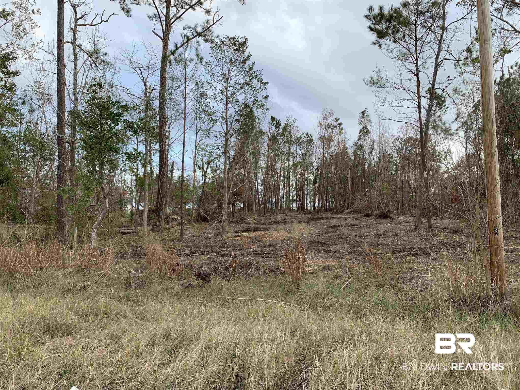 10501 County Road 1 Fairhope, AL 36532 - Photo 29 of 33