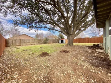 a view of yard with tree