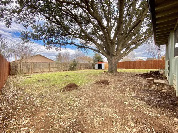 a view of yard with tree