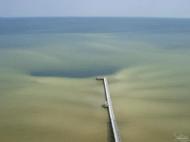 $250,000 | 825 Bayshore Drive, Unit 1208, Pensacola, FL 32507