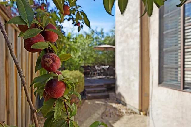 $978,990 | 4674 Kimberley Common, Livermore, CA 94550