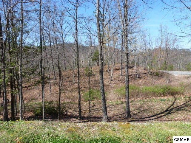 129 Rocking Chair Lane Sevierville, TN 37862 - Photo 1 of 16 Gallery Image 1