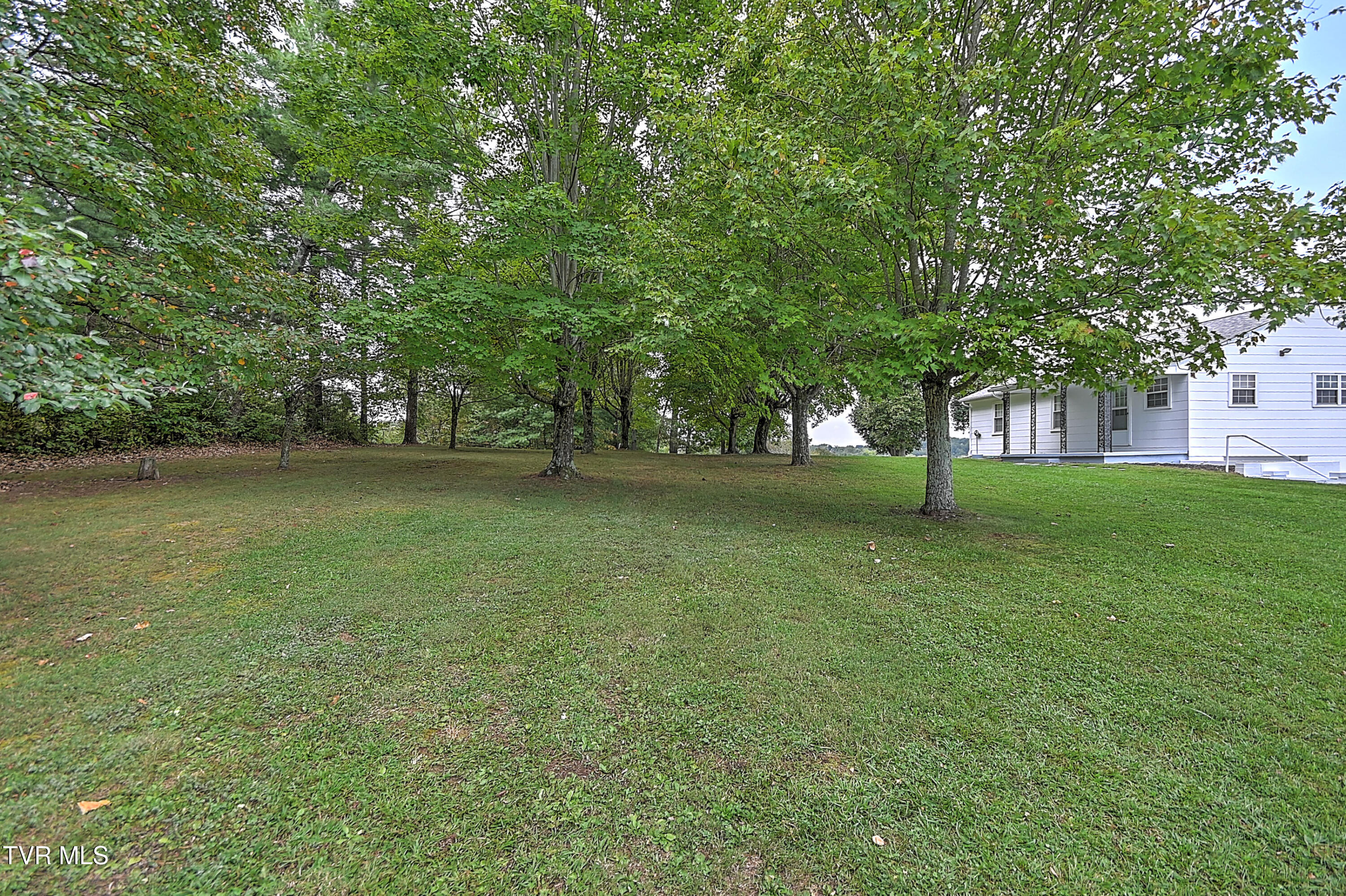 1160 Dodd Branch Road Greeneville, TN 37743 - Photo 28 of 34 1150 Dodd Creek BS-28