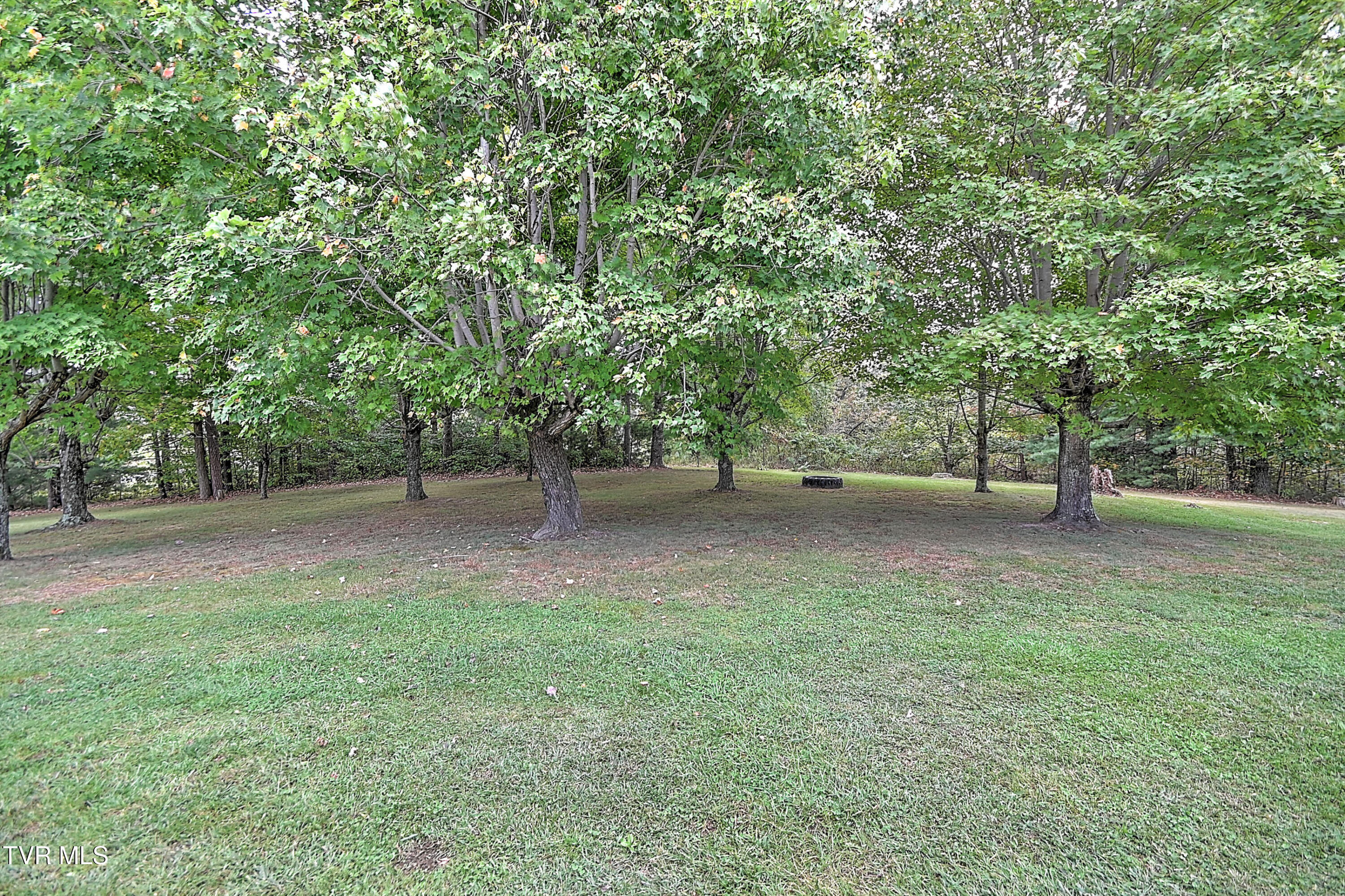 1160 Dodd Branch Road Greeneville, TN 37743 - Photo 32 of 34 1150 Dodd Creek BS-32