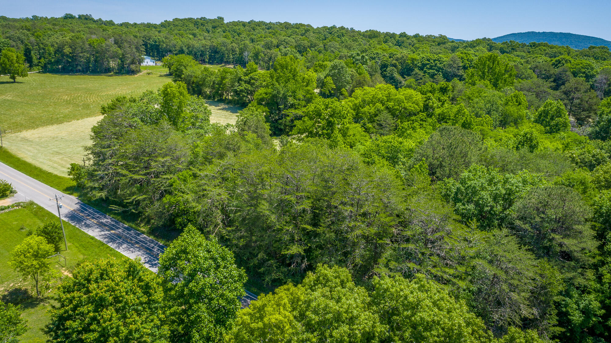 1655 West Cove Road Chickamauga, GA 30707 - Photo 45 of 62 1655 W Cove Road HD-4