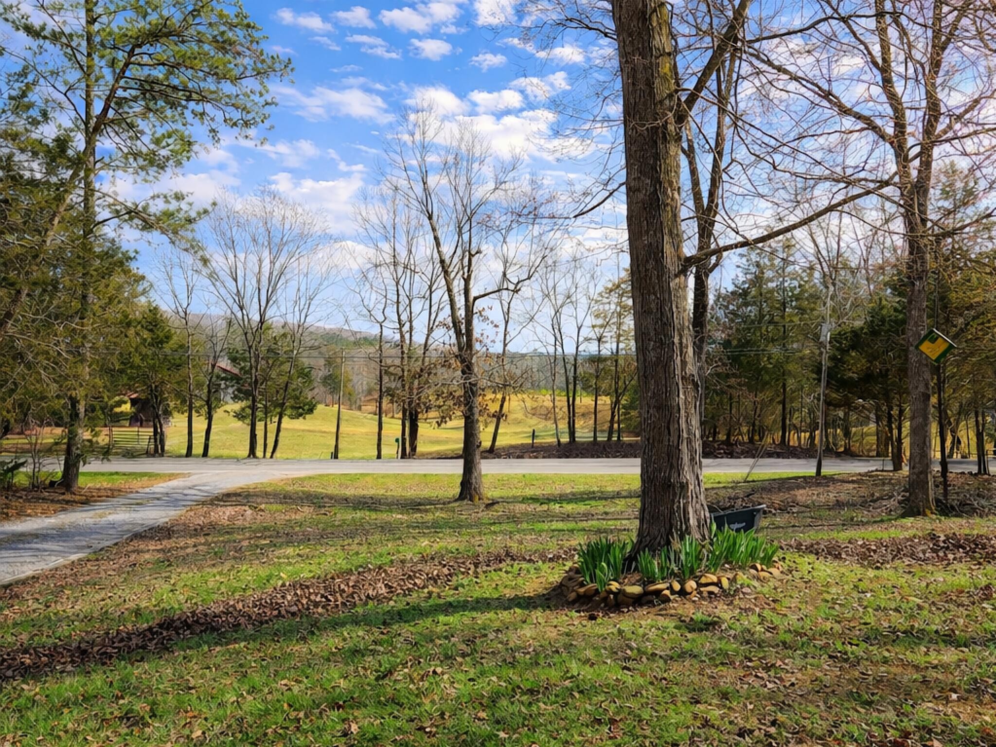 515 Van Davis Road Georgetown, TN 37336 - Photo 3 of 18