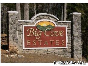 73 Vintage Road, Unit 16 Candler, NC 28715 - Photo 1 of 11 Gallery Image 1