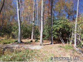 73 Vintage Road, Unit 16 Candler, NC 28715 - Photo 11 of 11 Gallery Image 11
