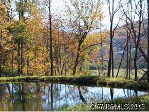 73 Vintage Road, Unit 16 Candler, NC 28715 - Photo 4 of 11 Gallery Image 4