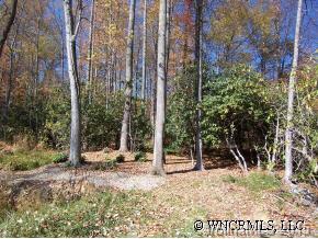 73 Vintage Road, Unit 16 Candler, NC 28715 - Photo 6 of 11 Gallery Image 6