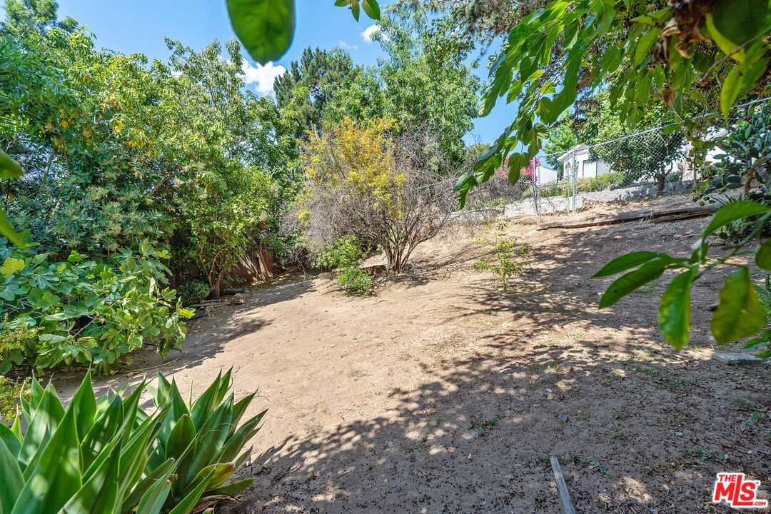 2117 Vestal Avenue Los Angeles, CA 90026 - Photo 26 of 26 a view of a yard with plants and trees