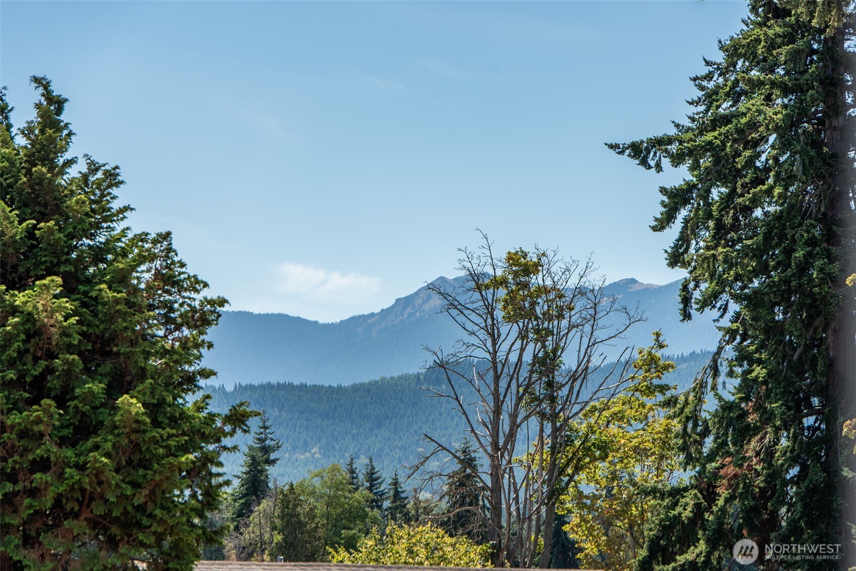 400 Gupster Road, Unit 7 Sequim, WA 98382 - Photo 4 of 29 Gallery Image 4