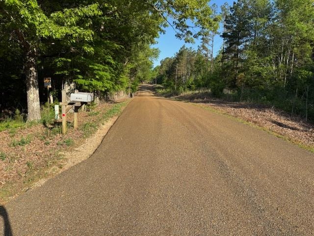 1020 Pine Top Road Toone, TN 38381 - Photo 16 of 16 Gravel road surrounded by mature trees