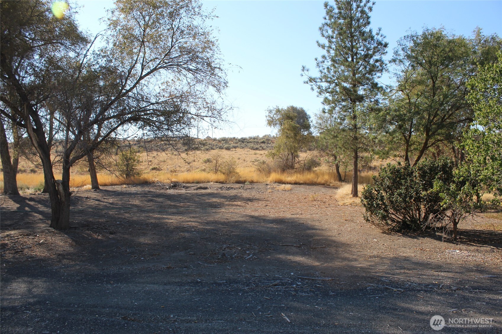 117 South Neilson Road Lind, WA 99341 - Photo 4 of 11 a view of dirt yard with a large tree