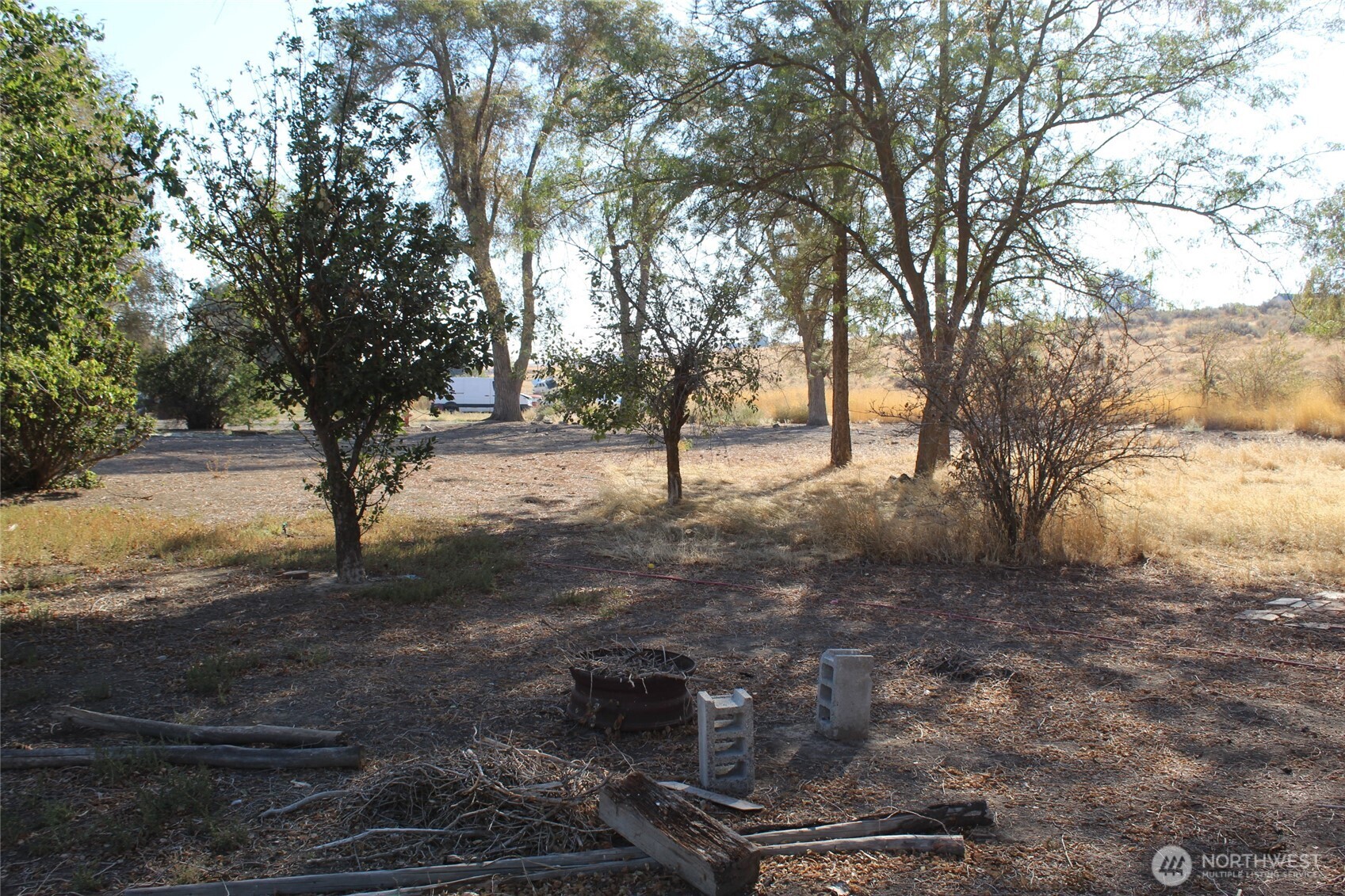 117 South Neilson Road Lind, WA 99341 - Photo 6 of 11 a view of a yard with trees