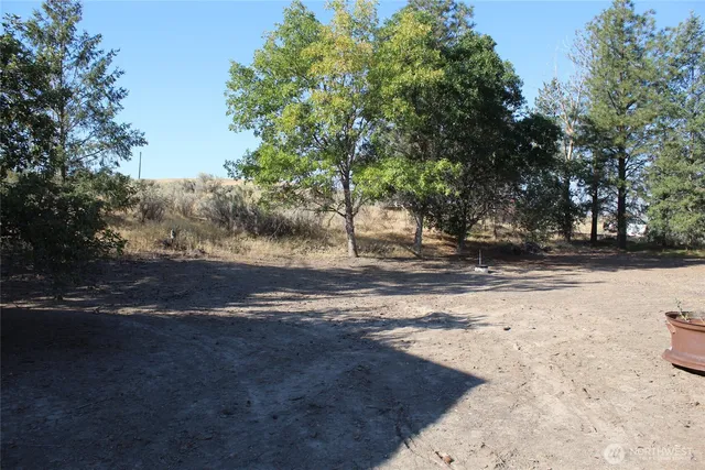a view of outdoor space and yard