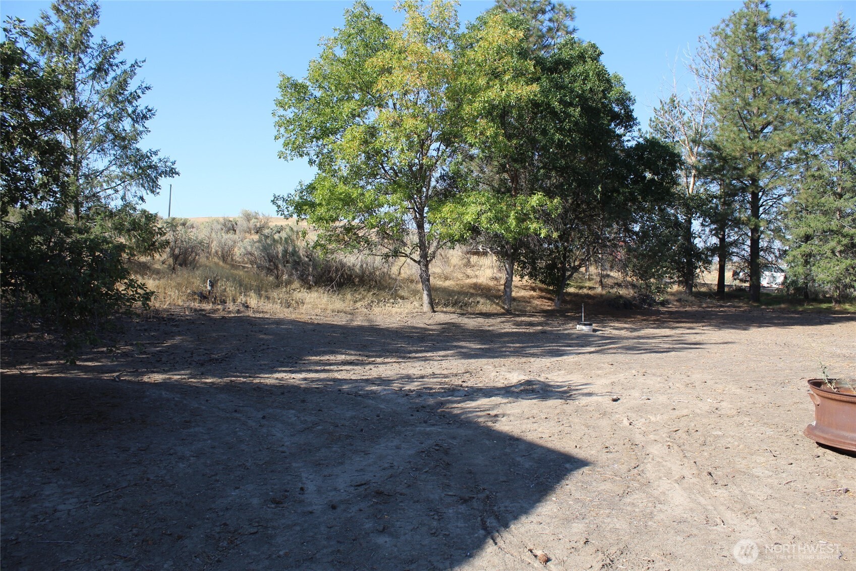 117 South Neilson Road Lind, WA 99341 - Photo 8 of 11 a view of dirt yard with a large tree
