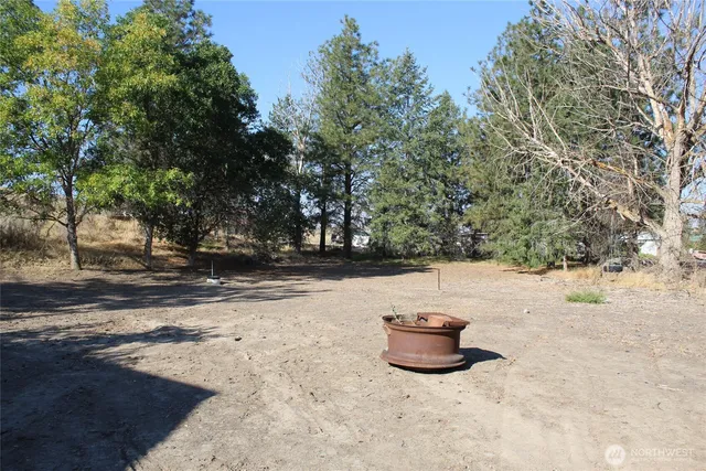 a view of road and trees