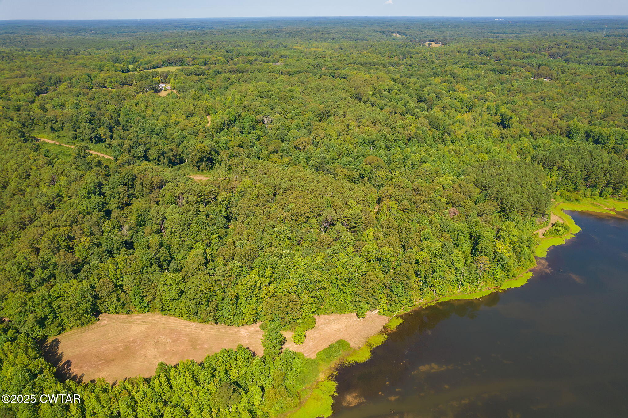 0 Leach Road Huntingdon, TN 38344 - Photo 11 of 30 a view of a lake with a yard