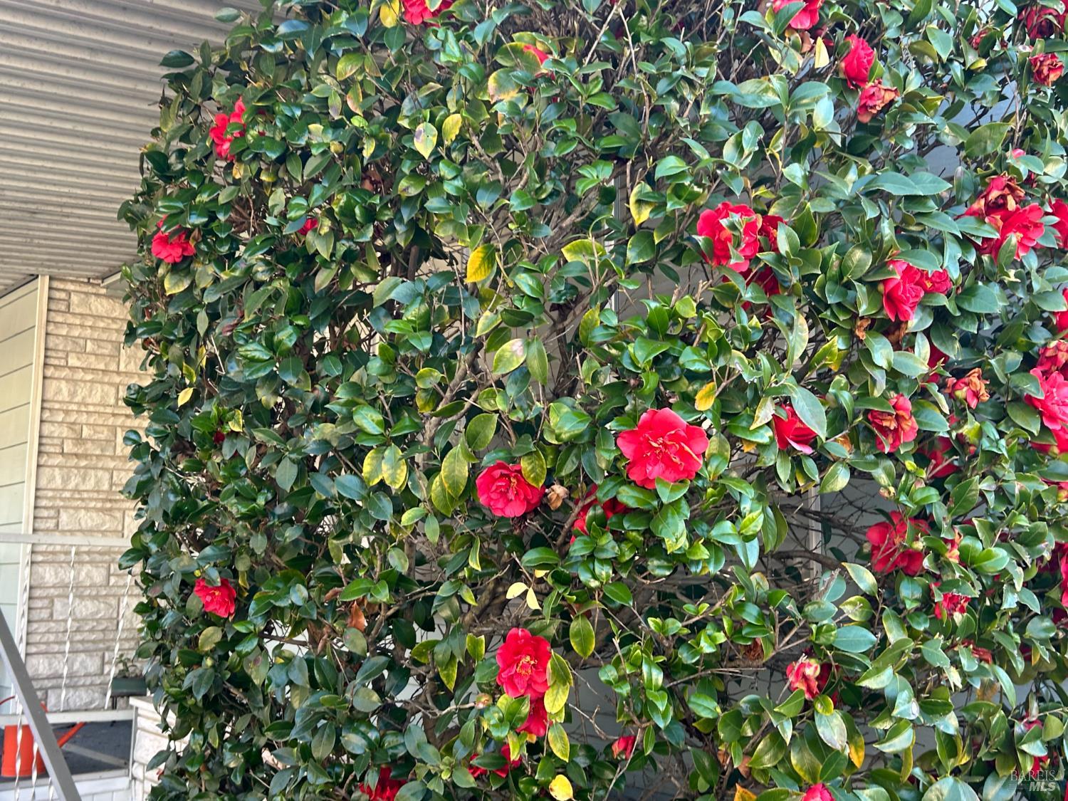 41 Plymouth Way Santa Rosa, CA 95403 - Photo 5 of 27