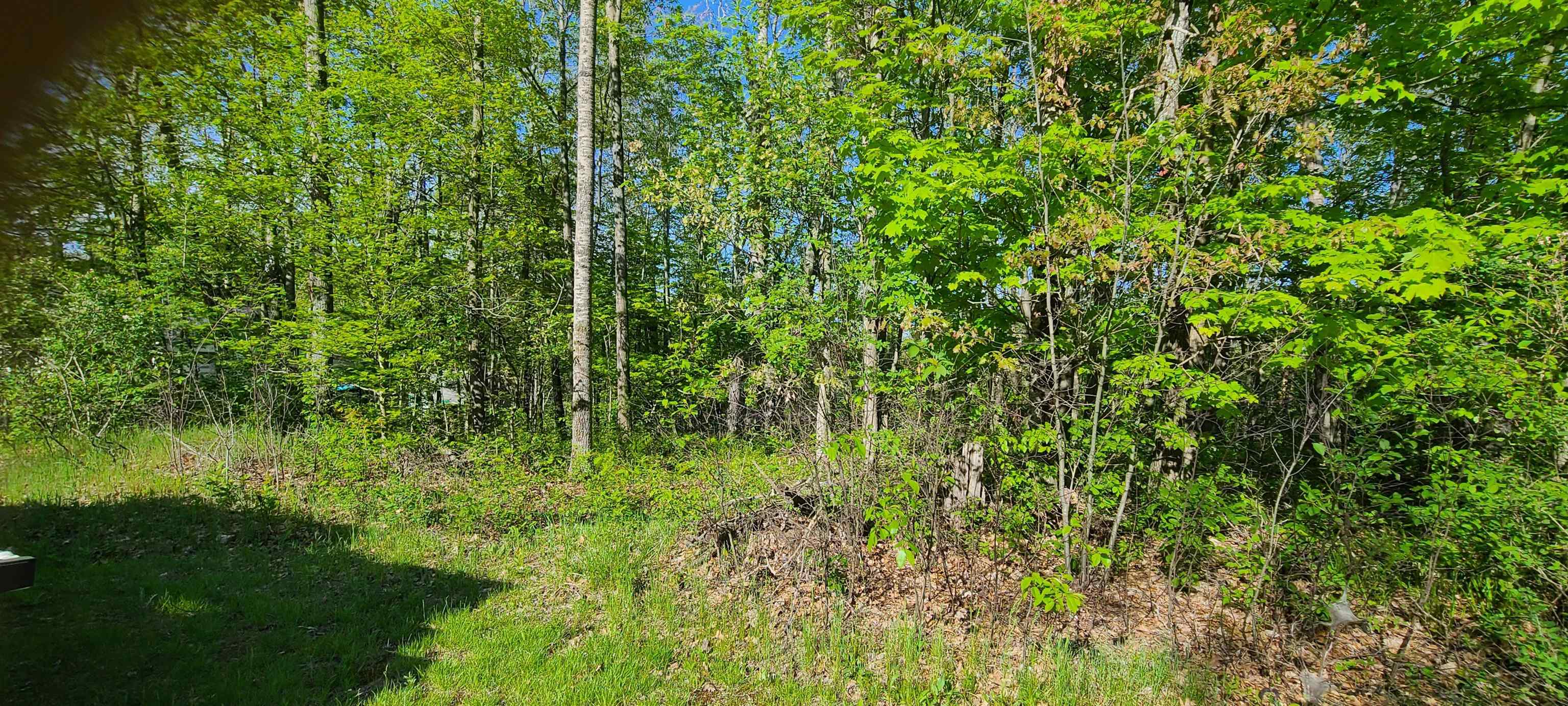 0 Montana Road Barton City, MI 48705 - Photo 1 of 6