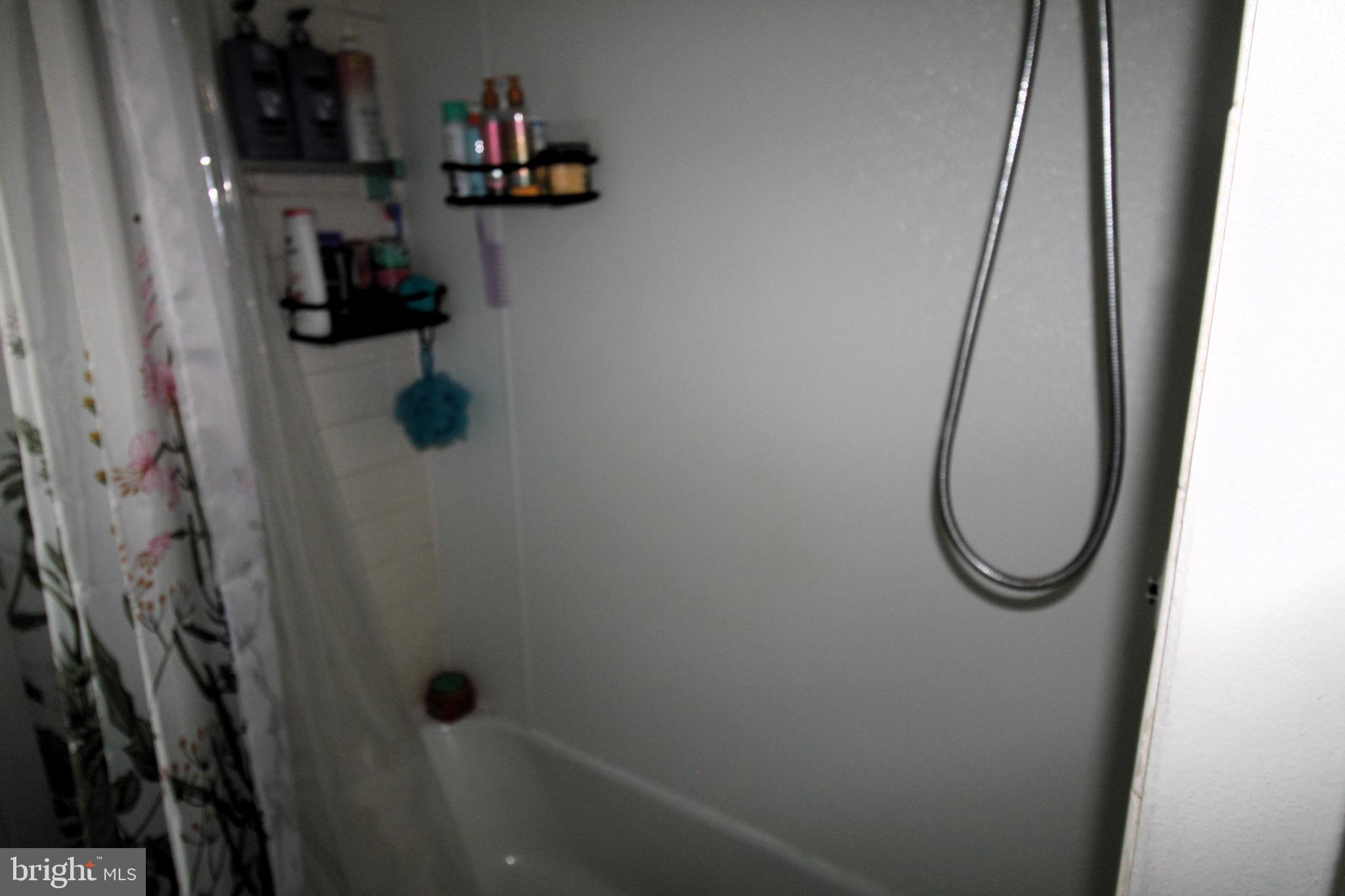 30351 Zion Road Salisbury, MD 21804 - Photo 12 of 24 shower/tub