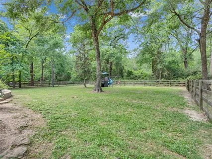 a view of a park with large trees