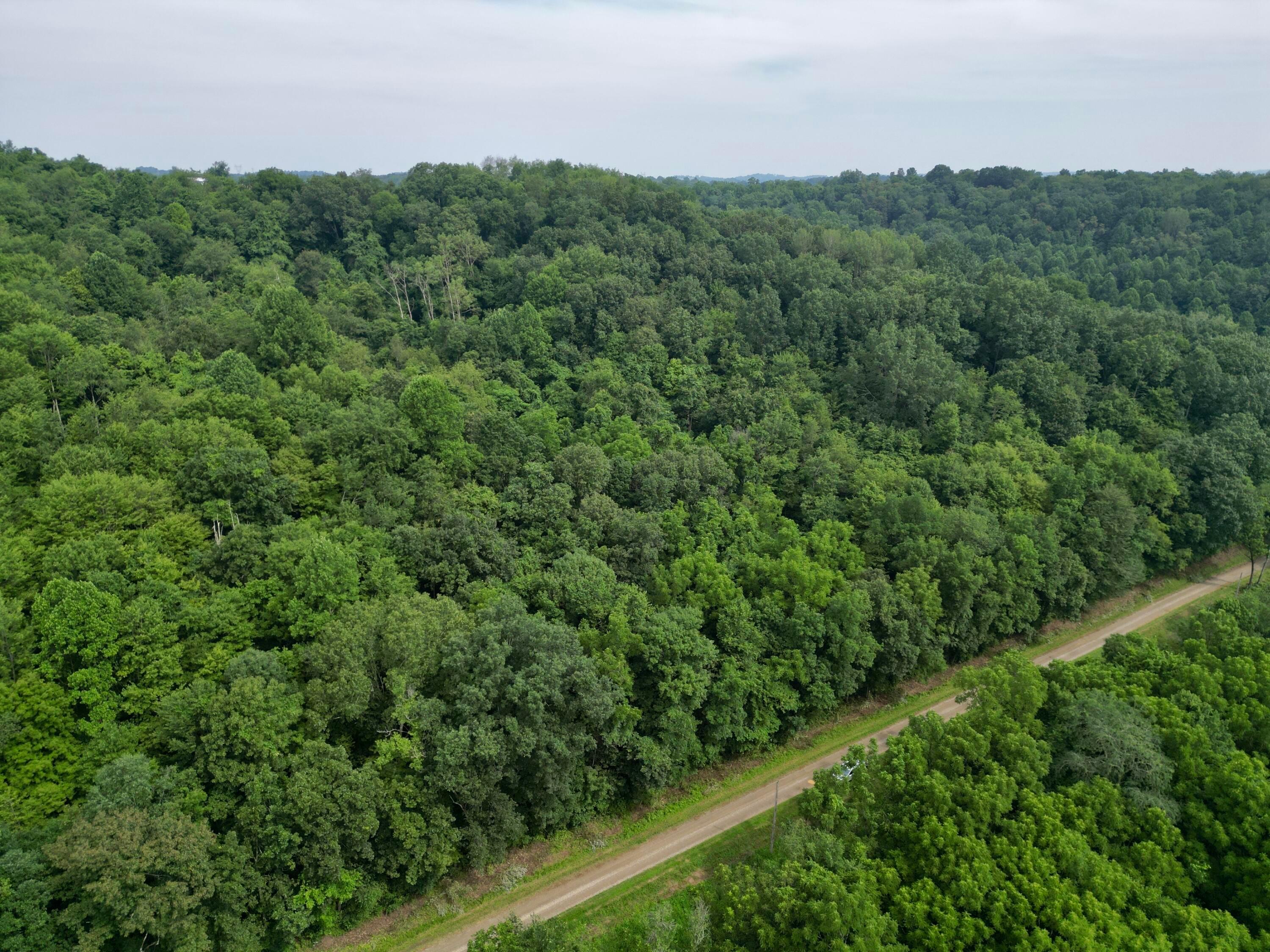 0 Township Road Dresden, OH 43821 - Photo 9 of 36 dji_fly_20250721_111410_430_175311013389