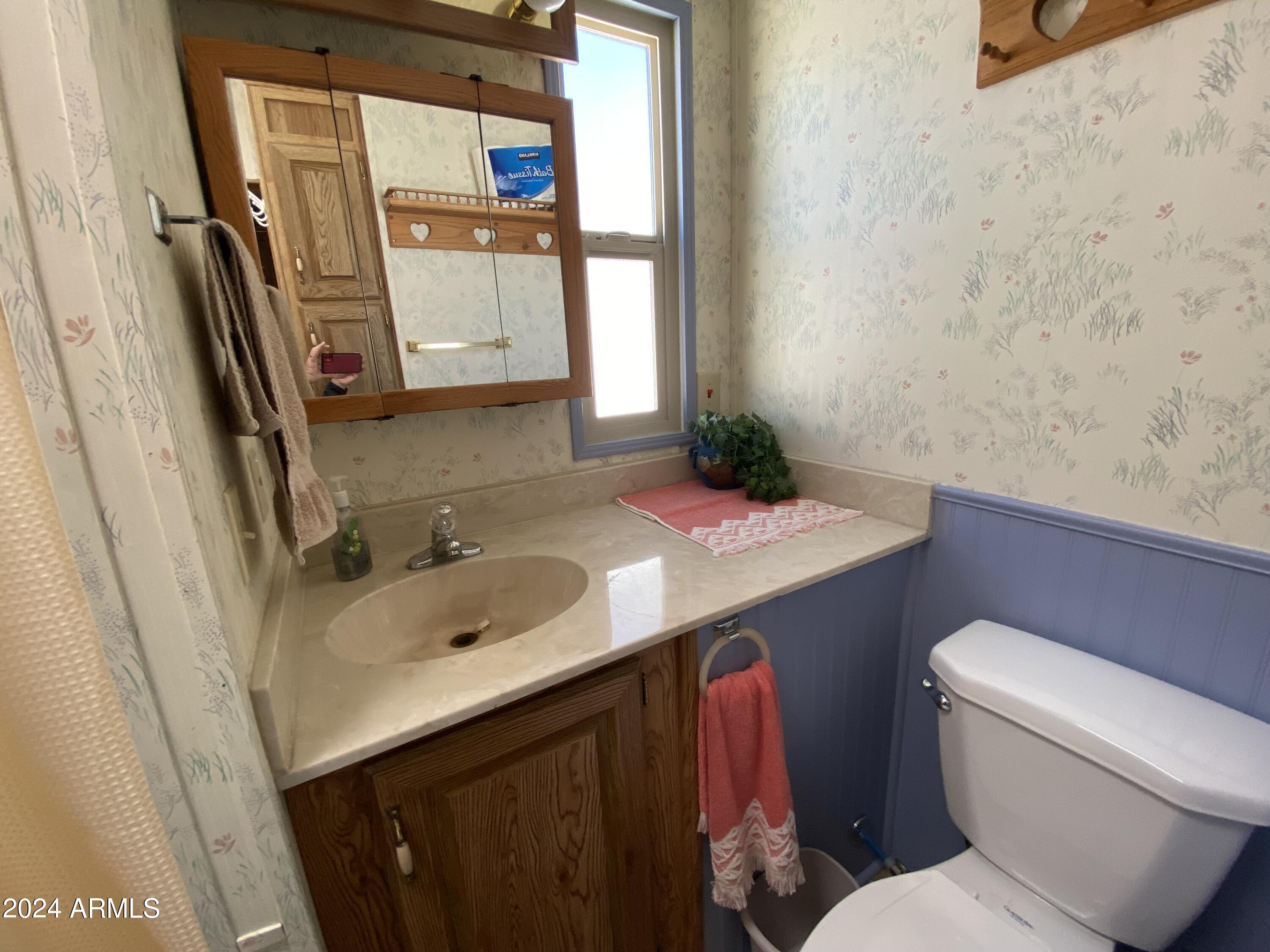 2086 West Klamath Avenue, Unit 86 Apache Junction, AZ 85119 - Photo 6 of 17 a bathroom with a sink and a mirror