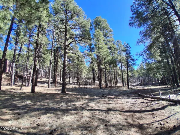 a view of outdoor space with trees