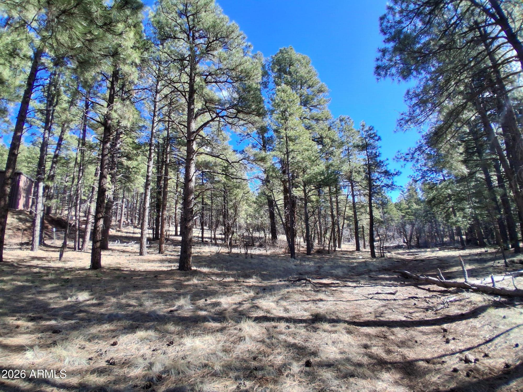 a view of outdoor space with trees