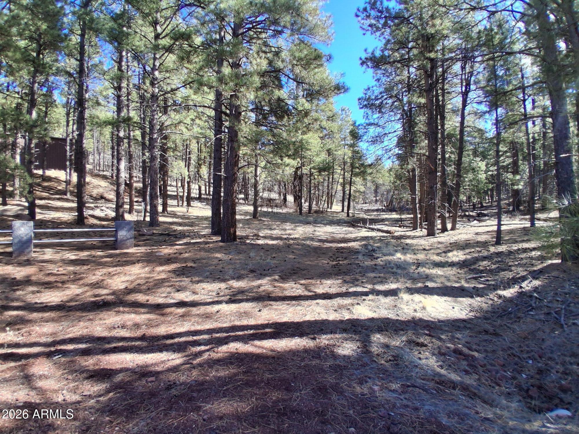 13696 Kings Deer Road Parks, AZ 86018 - Photo 11 of 32 a view of road with trees