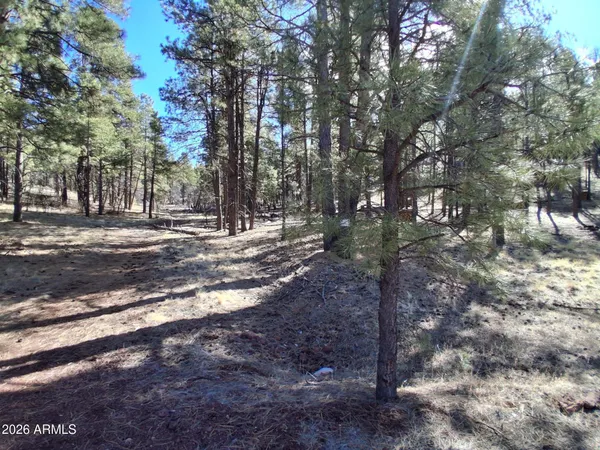 a view of open space with trees