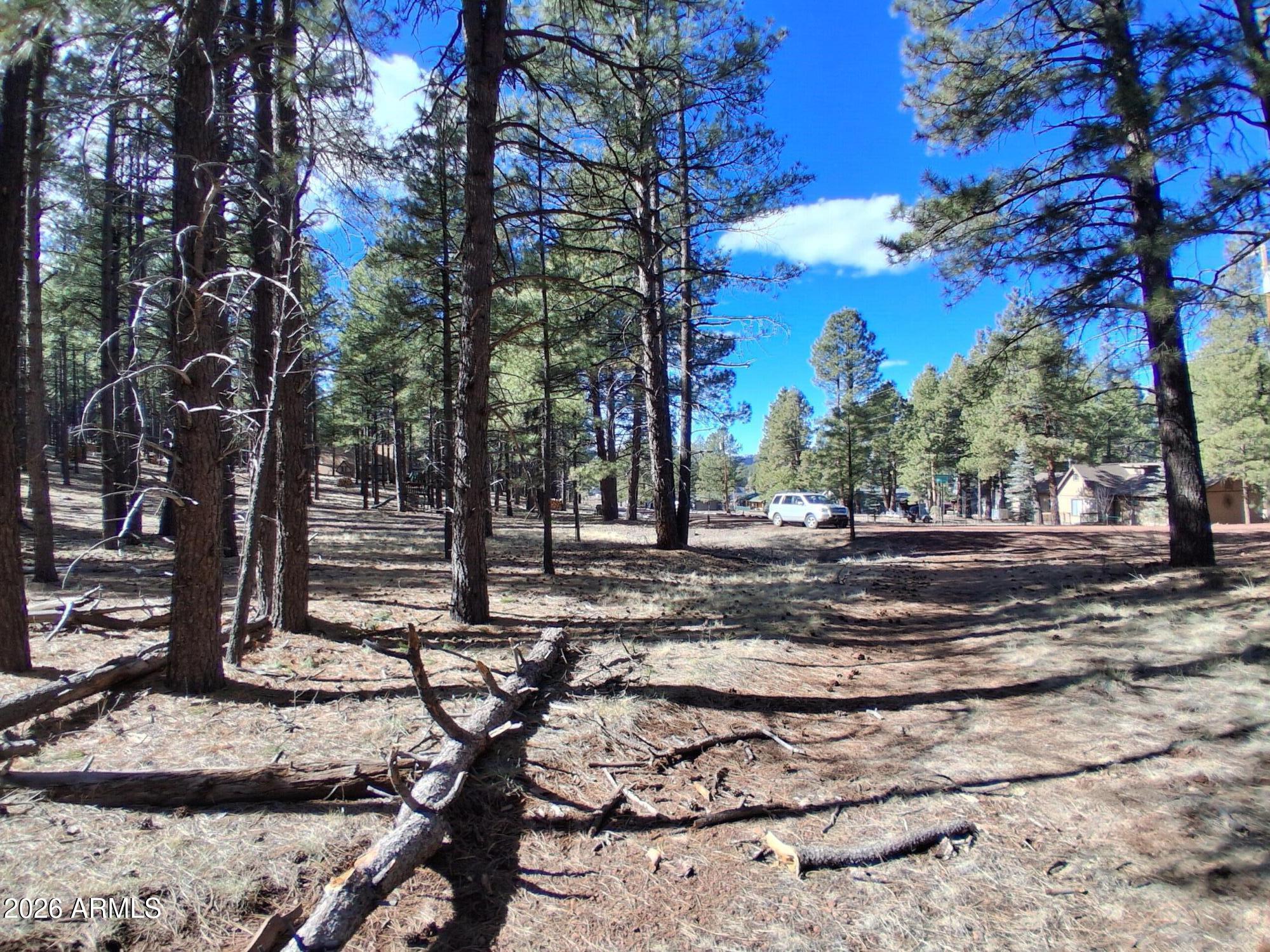 13696 Kings Deer Road Parks, AZ 86018 - Photo 13 of 32 a view of a yard with wooden fence